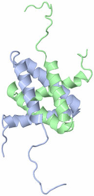 Image NMR Structure - model 1