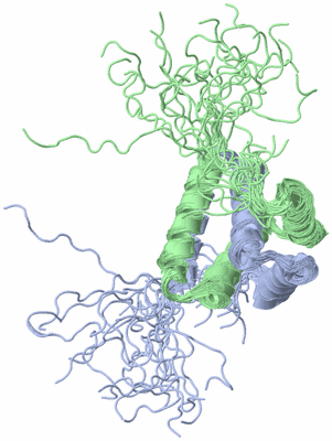 Image NMR Structure - all models