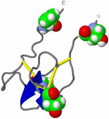 Image NMR Structure - model 1