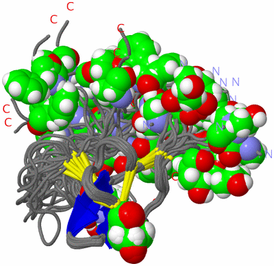 Image NMR Structure - all models