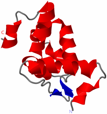 Image NMR Structure - model 1