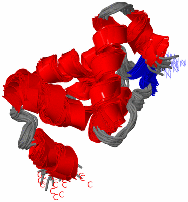 Image NMR Structure - all models