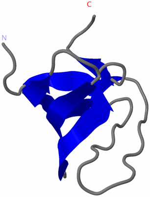 Image NMR Structure - model 1