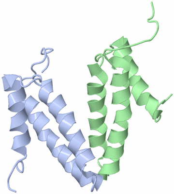 Image NMR Structure - model 1