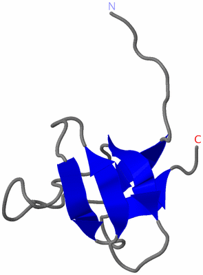 Image NMR Structure - model 1