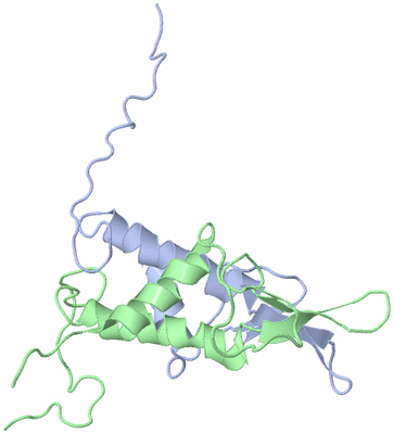 Image NMR Structure - model 1