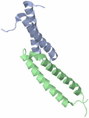 Image NMR Structure - model 1