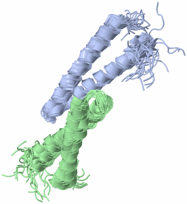 Image NMR Structure - all models