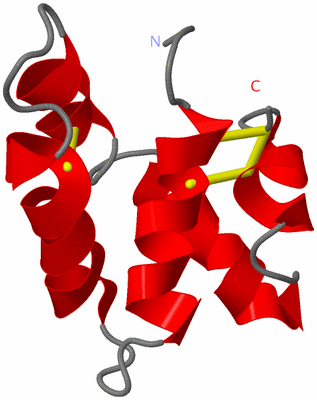 Image NMR Structure - model 1