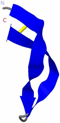 Image NMR Structure - model 1