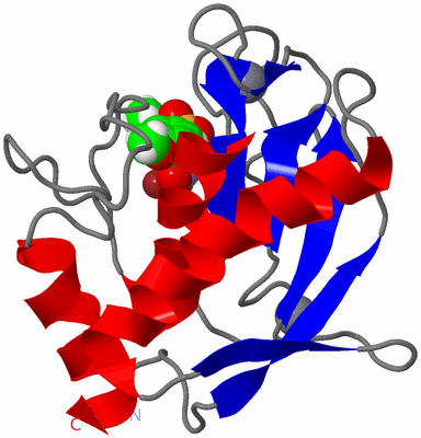 Image NMR Structure - model 1