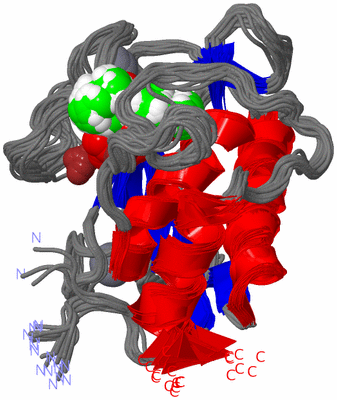 Image NMR Structure - all models