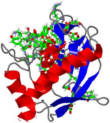 Image NMR Structure - model 1, sites