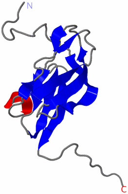 Image NMR Structure - model 1