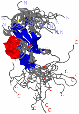 Image NMR Structure - all models