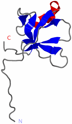 Image NMR Structure - model 1