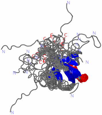 Image NMR Structure - all models