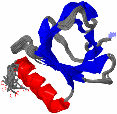 Image NMR Structure - all models