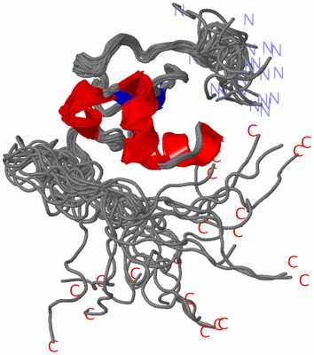 Image NMR Structure - all models