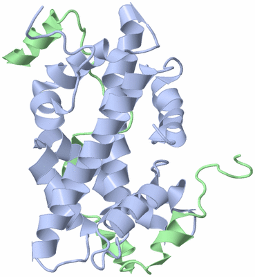 Image NMR Structure - model 1