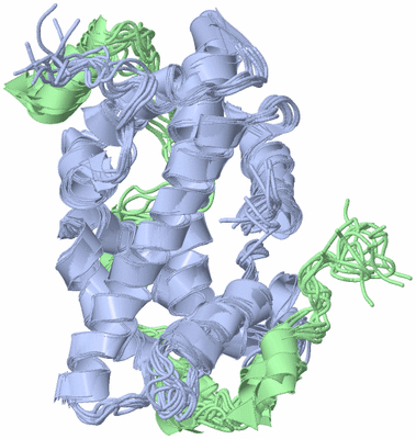 Image NMR Structure - all models