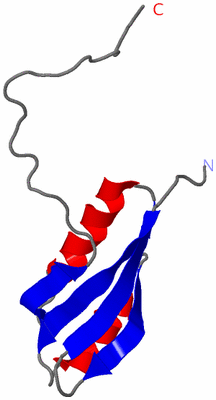 Image NMR Structure - model 1