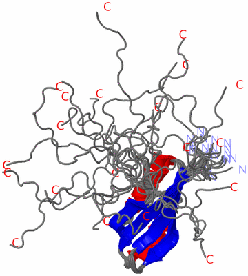 Image NMR Structure - all models