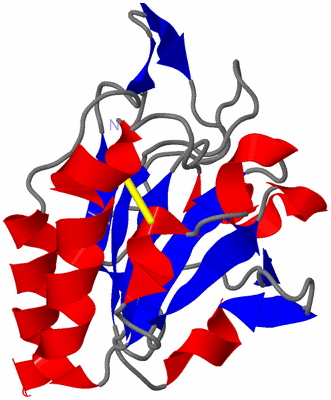 Image NMR Structure - model 1