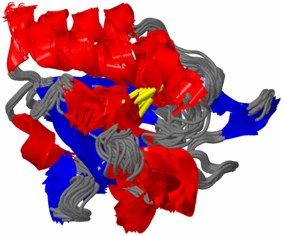 Image NMR Structure - all models