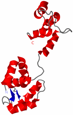 Image NMR Structure - model 1