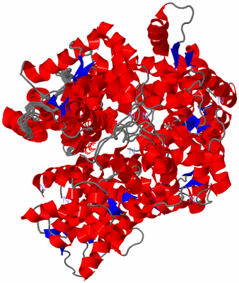 Image NMR Structure - all models