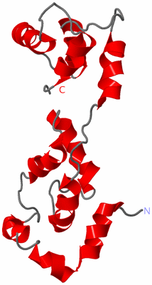 Image NMR Structure - model 1