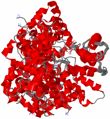 Image NMR Structure - all models