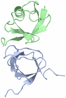 Image NMR Structure - model 1