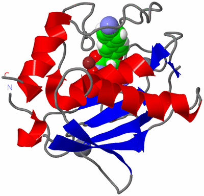 Image NMR Structure - model 1