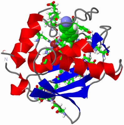 Image NMR Structure - model 1, sites