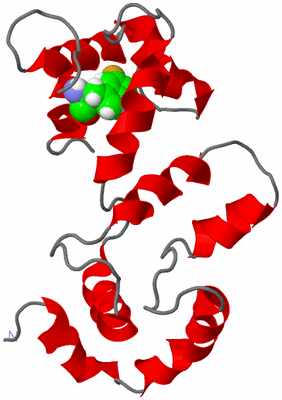 Image NMR Structure - model 1