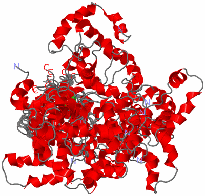 Image NMR Structure - all models