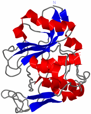 Image NMR Structure - model 1