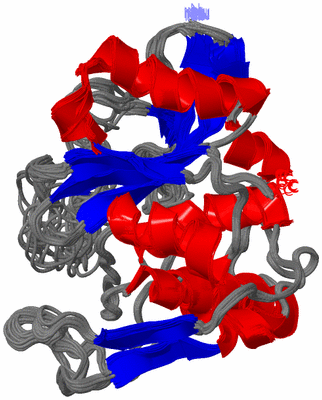 Image NMR Structure - all models