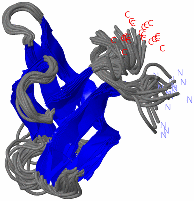 Image NMR Structure - all models