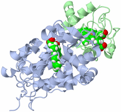 Image NMR Structure - model 1