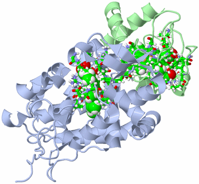 Image NMR Structure - model 1, sites