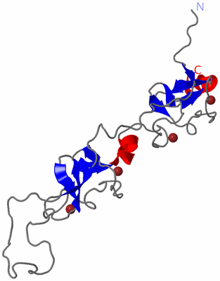 Image NMR Structure - model 1