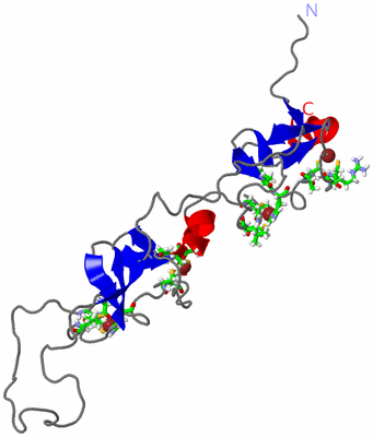 Image NMR Structure - model 1, sites