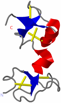 Image NMR Structure - model 1