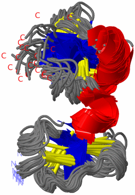 Image NMR Structure - all models