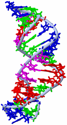 Image NMR Structure - model 1