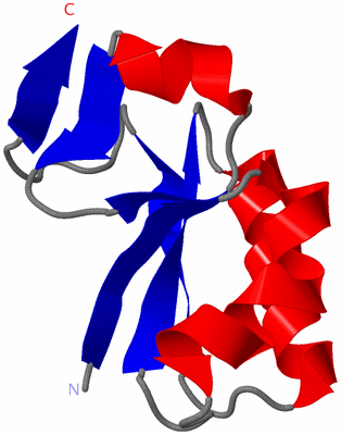 Image NMR Structure - model 1