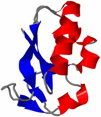 Image NMR Structure - model 1